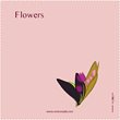 Flower Collection 9 st.