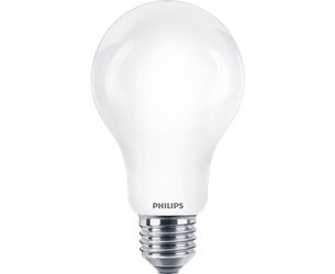 Philips 13W (120W) 2000Lm 2700K E27  8295828  *