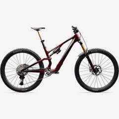 Stumpjumper 15 S-works evo DI2