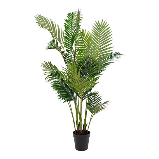 House Nordic Konstväxt Areca Palm
