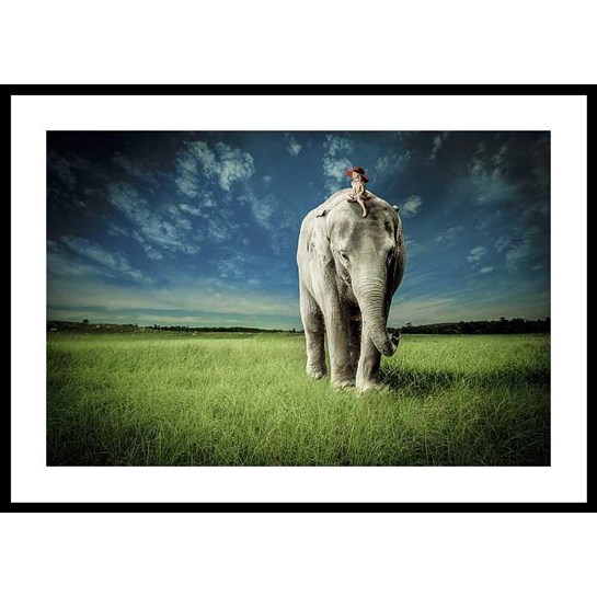 Stormposter Inramad Poster Elephant Carry Me