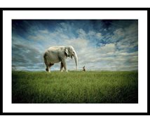 Stormposter Inramad Poster Elephant Follow Me