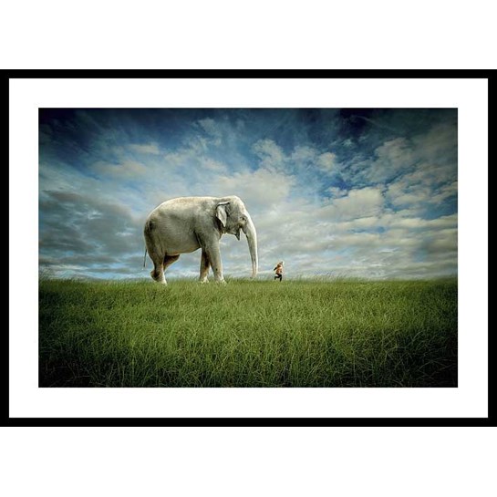Stormposter Inramad Poster Elephant Follow Me