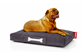 Fatboy Fatboy Doggielounge Stonewashed Large