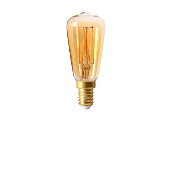 Pr Home Ljuskälla Elect Led Filament Gold Edison E14
