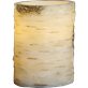 Star Trading Bjork LED Blockljus