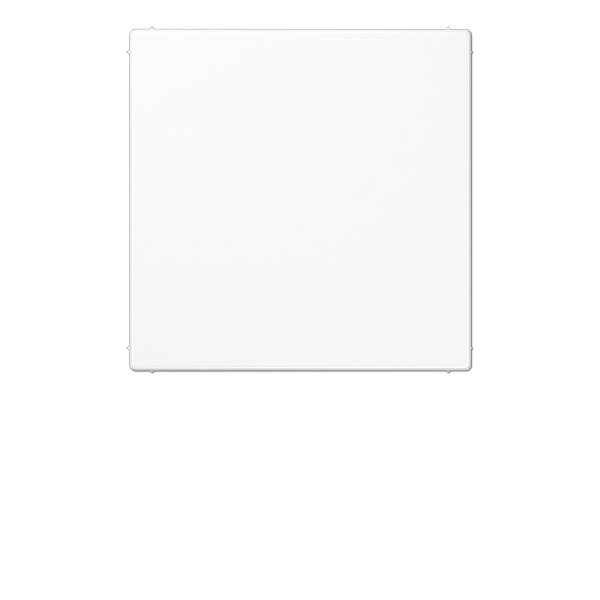 Jung Blindplatta/Blindlock Ls990, Blankvit
