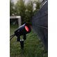 Markslöjd Garden 24 spotlight utomhus IP44, Svart