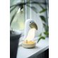 Star Trading Toucan Bird nattlampa LED