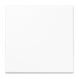 Jung Centrumplatta Till Tryckdimmer Ls990, Blankvit