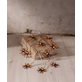 Star Trading Spider Halloween-ljusslinga LED 135 cm, Batteridriven