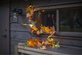 Star Trading Autumn höstgirlang med 30 LED 180 cm, Orange