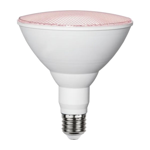 Star Trading Växtlampa LED Par38 16W E27 Frodas