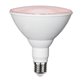 Star Trading Växtlampa LED Par38 16W E27 Frodas