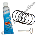 Valve cover gasket kit (petrol) 5-CYL 1992-   (5 o-rings + tube)