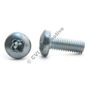Screw