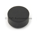 Plug for water pump (for cars without heaters)