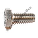 Screw (stainless)
