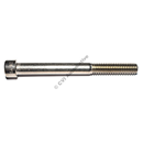 Screw