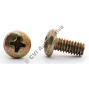 Screw