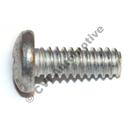 Screw