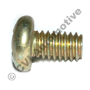 Screw