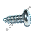 Screw