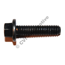 Flange screw M6 x 25