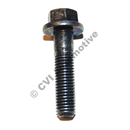 Flange screw