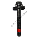 Flange bolt