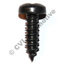 Screw