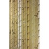 Osborne & Little Bamboo tapet