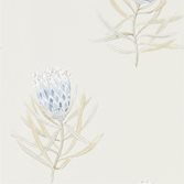Sanderson Protea Flower - China Blue/Canvas