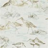 Sanderson Estuary Birds