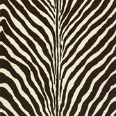 Ralph Lauren Bartlett Zebra - Chocolate