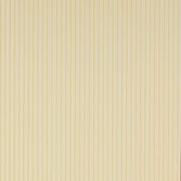 Colefax and Fowler Ditton Stripe - Yellow