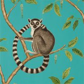 Sanderson Ringtailed Lemur tapet