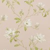 Colefax and Fowler Marchwood Shell Pink