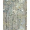 Carma 1838 Aurora, Glade Moss tapet