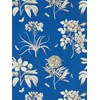 Sanderson Etchings & Roses French Blue tapet