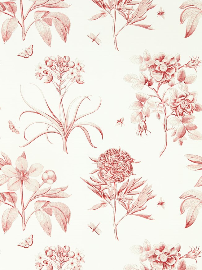 Sanderson Etchings & Roses Amanpuri Red tapet
