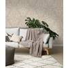 Intrade Alchemy Loxley taupe