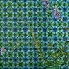 Designers Guild Ikebana Shibori Emerald tapet