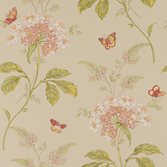 Colefax and Fowler Messina - Pink/Green