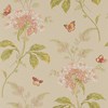 Colefax and Fowler Messina - Pink/Green