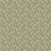 Colefax and Fowler Sea Coral Green