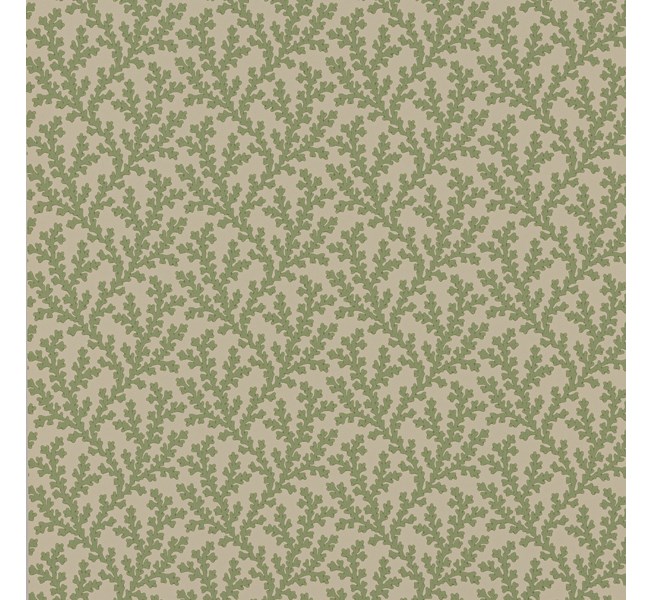Colefax and Fowler Sea Coral Green