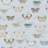 John Derian Butterfly Studies Cloud Blue
