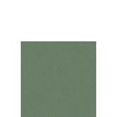 Caselio Linen Edition Uni Vert Bouteille (Outlet)