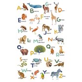 Caselio Apprenons Alphabet Multicouleurs L